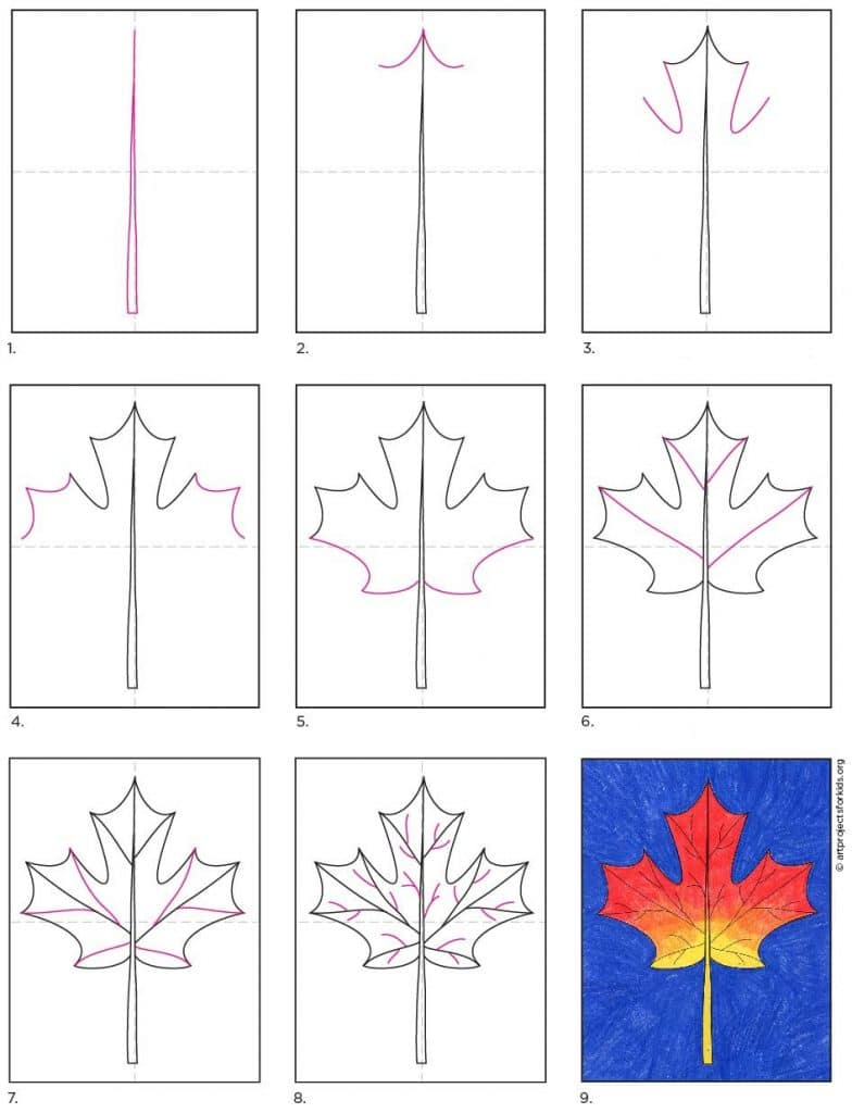 Preview of the how to draw a Maple Leaf easy step-by-step tutorial. Free download available.