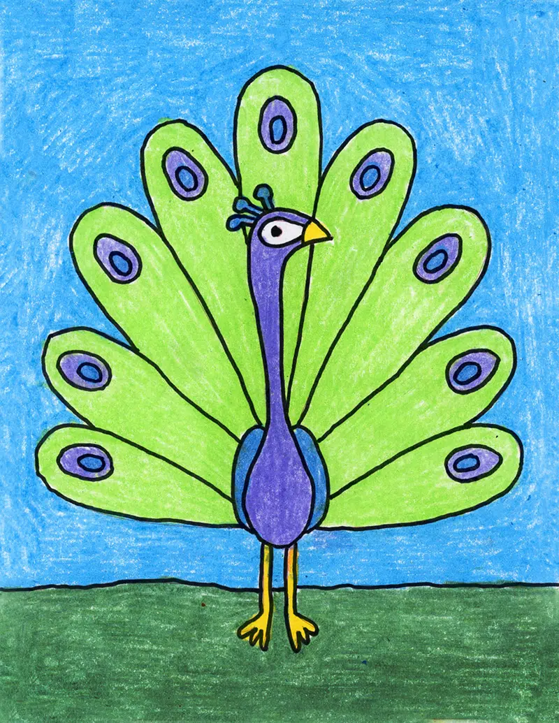 Easy How to Draw a Peacock Tutorial Video and Peacock Coloring Page