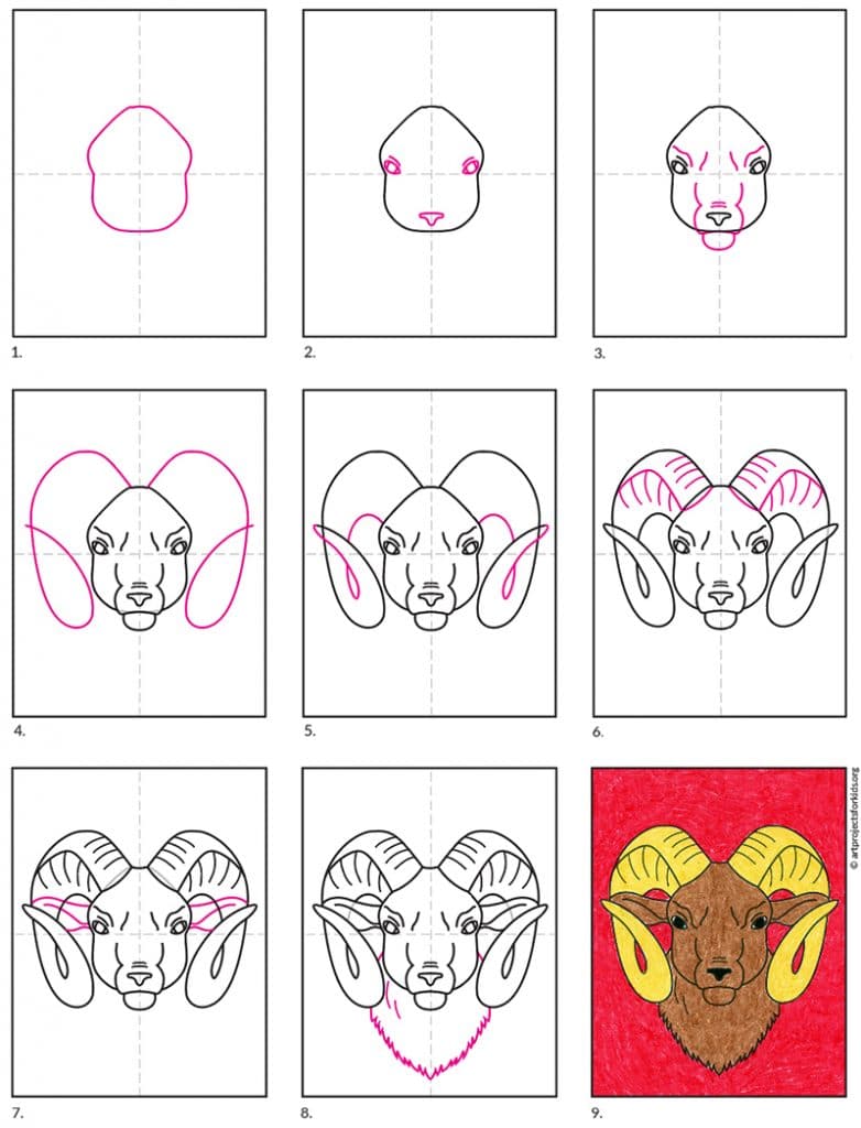 Learn how to draw a ram's head with the help of step-by-step directions.