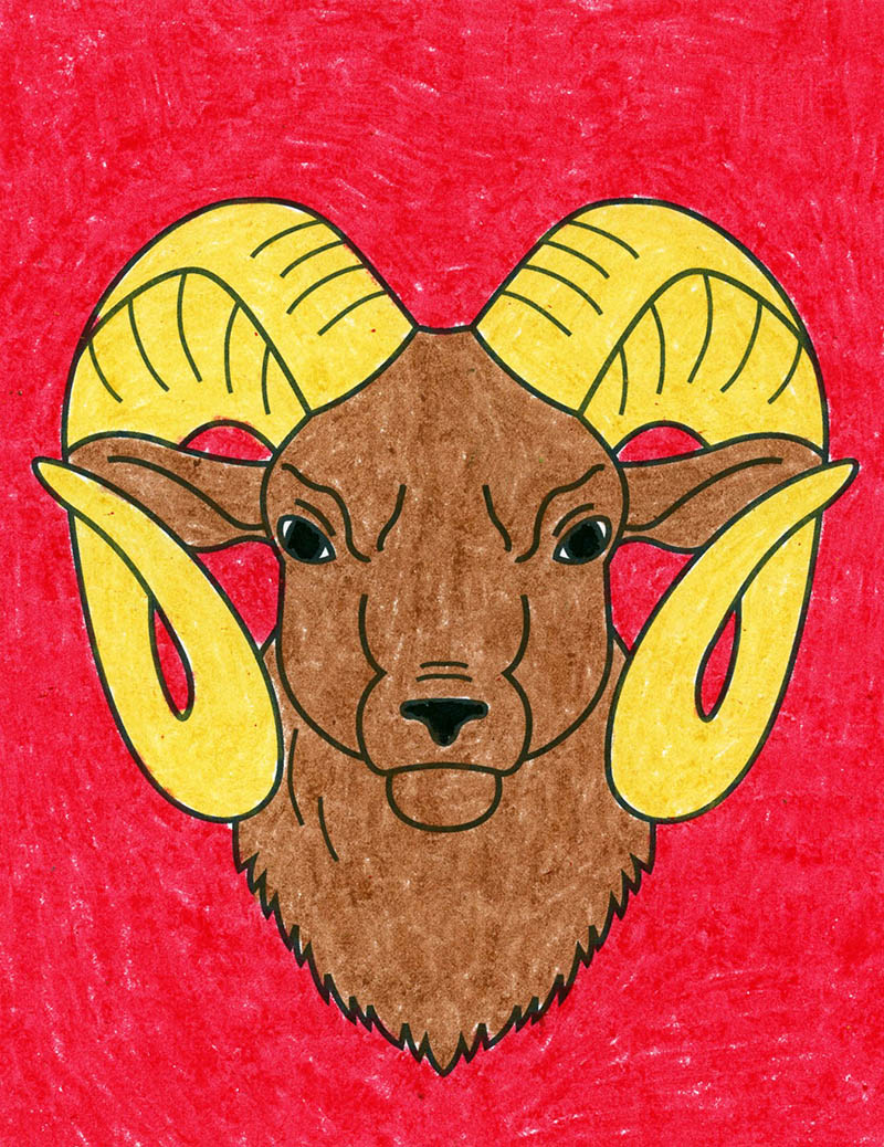 Easy How to Draw a Ram Head Tutorial and Ram Coloring Page