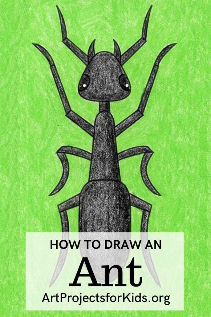 How to Draw an Ant for Pinterest — Kids, Activity Craft Holidays, Tips