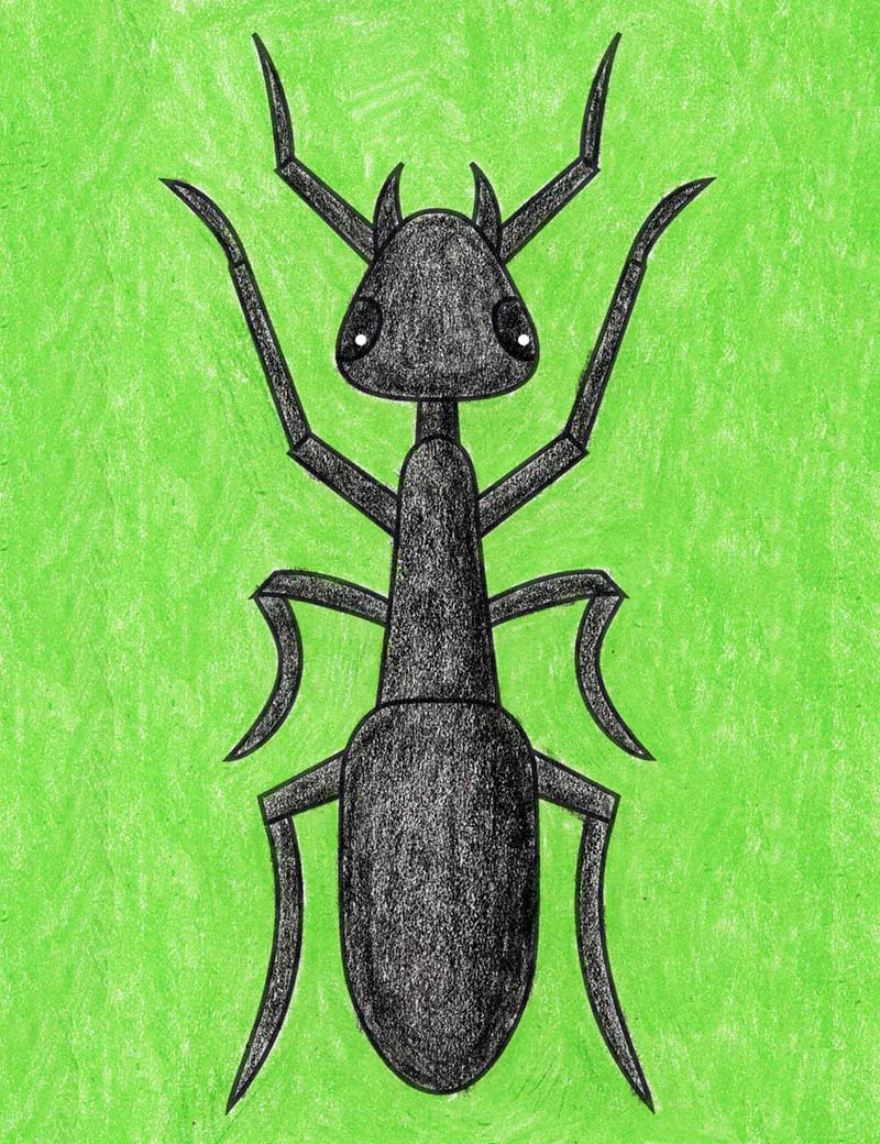 Fire Ant. Hand Drawing Realistic Illustration. Stock Illustration -  Illustration of adult, invasive: 150340258