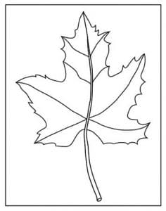 Leaf Zentangle Art Patterns: Drawing Projects for Kids