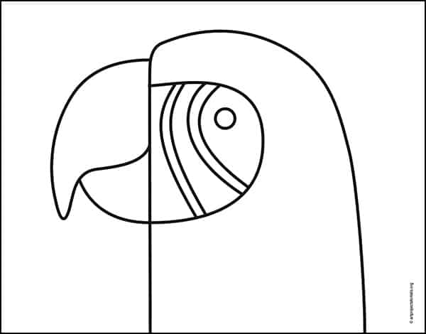 Macaw Coloring Page — Activity Craft Holidays, Kids, Tips