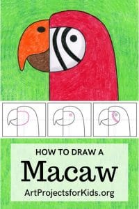 Easy How to Draw a Macaw Tutorial and Macaw Coloring Page