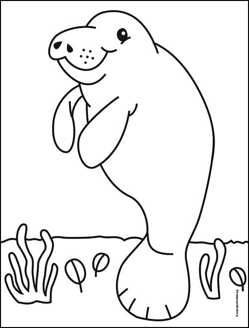 manatee coloring pages