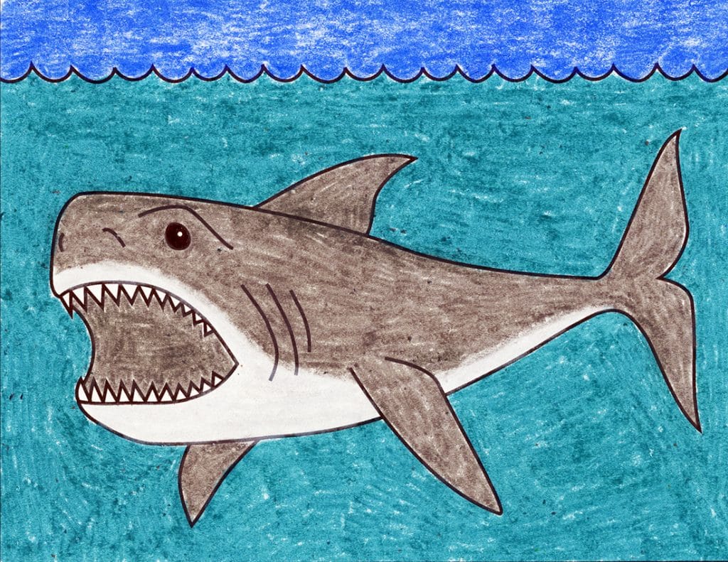 Vẽ Cá mập  wikiHow
