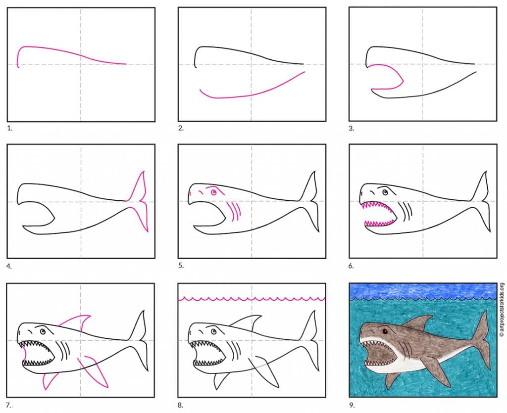 Hướng dẫn cách vẽ cá mập đơn giản với 9 bước cơ bản