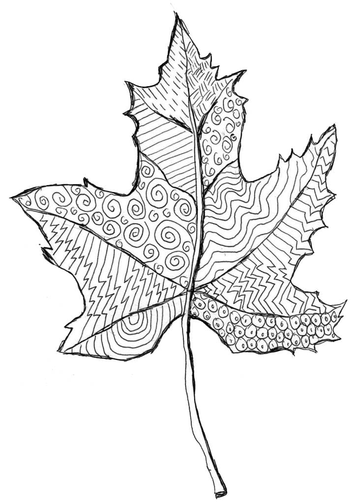 An easy art project that starts with a line drawing of a maple leaf. Trace and fill with patterns for a lovely work of art.