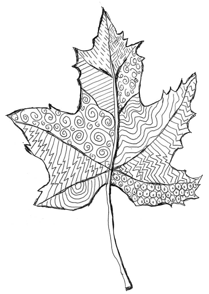 black ink leaf drawing isolated on white, simple line art drawing of a leaf,  hand drawn botanical illustration, black leaf sketch Stock Photo - Alamy