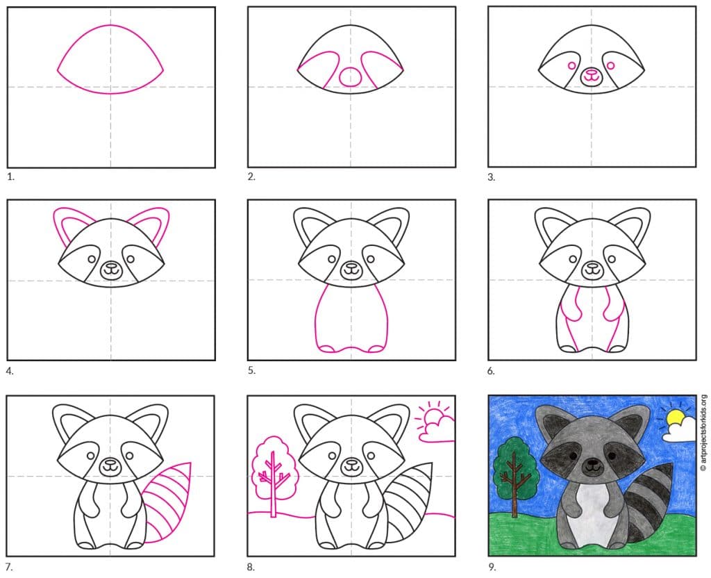 Raccoon Diagram — Activity Craft Holidays, Kids, Tips