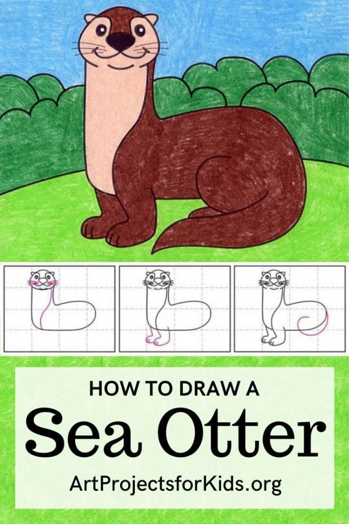 Learn how to Draw a Sea Otter Easy with a step by step tutorial.