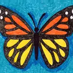 A drawing of a butterfly, made with the help of an easy step by step tutorial. A fun animal drawing for kids project.