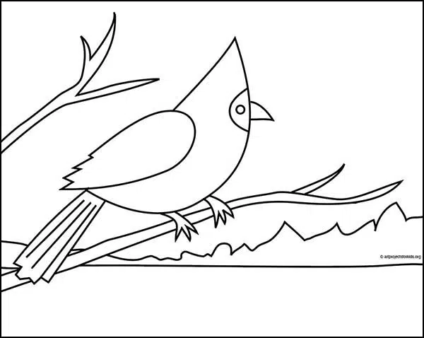 Cardinal Coloring page, available as a free download.