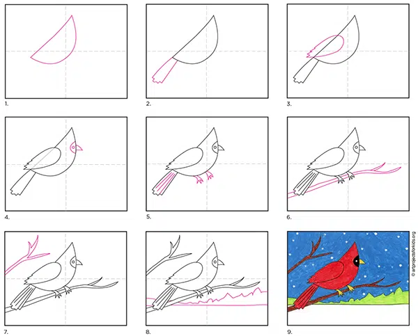 A step by step tutorial for how to draw an easy cardinal, also available as a free download.