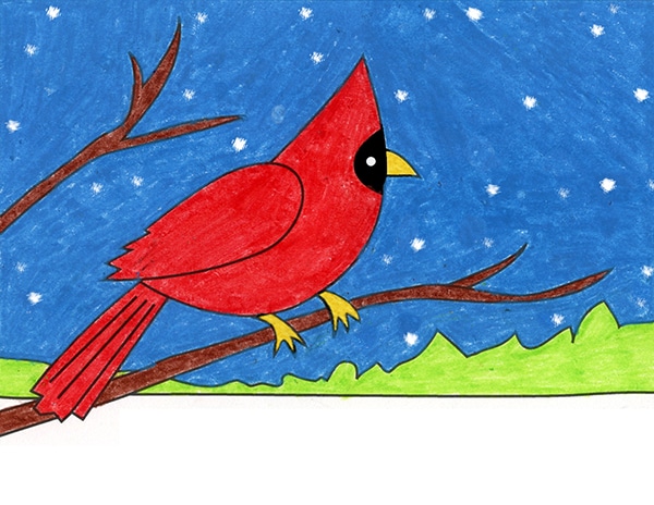 A drawing of a cardinal, made with the help of an easy step by step tutorial.
