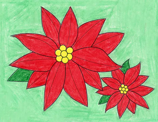 Premium Vector  Poinsettia drawing illustration by hand drawn line art