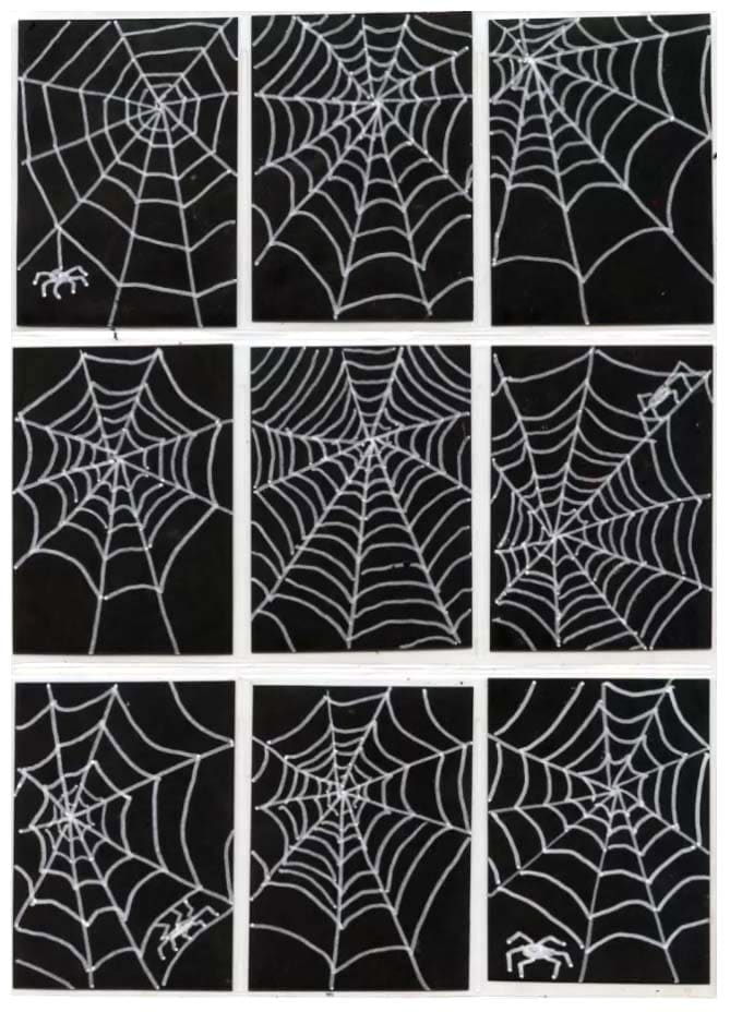 Web