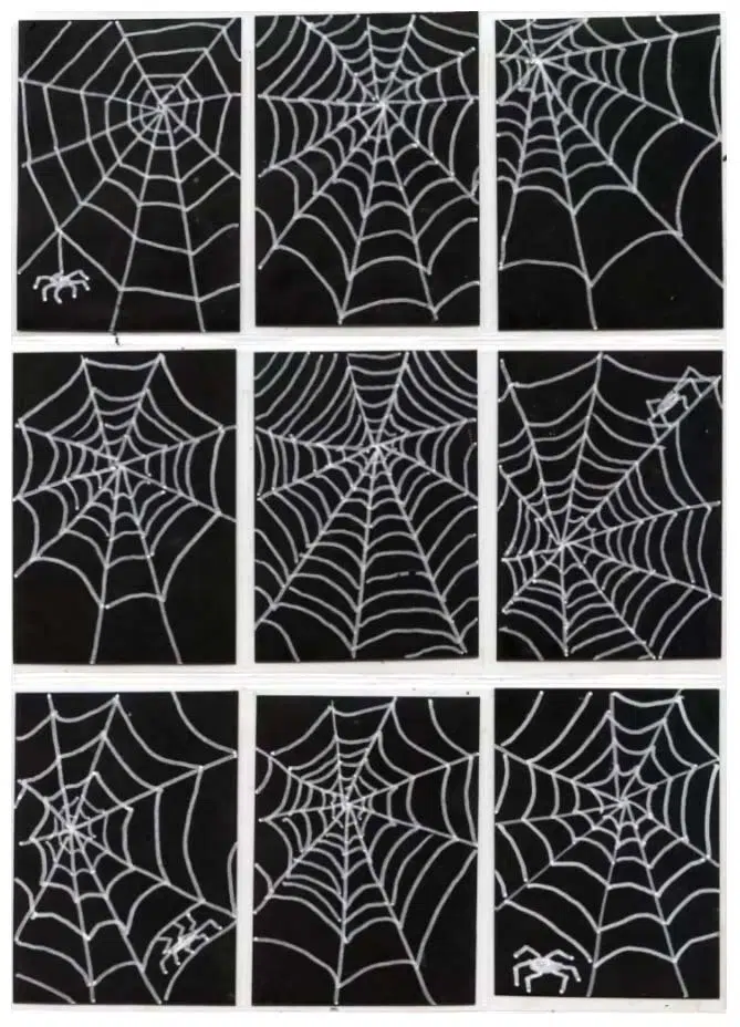 A drawing of a spider web, made with the help of an easy step by step tutorial. It's easy to make lots of variations.