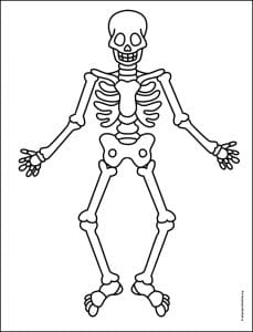 How to Draw a Skeleton: Easy Step-by-Step Art Lesson for Kids