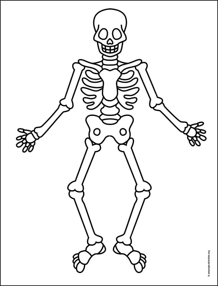 Easy How to Draw a Skeleton Tutorial and Skeleton Coloring Page