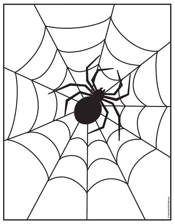 How to Draw a Spider Web / Easy Step by Step Drawing Guide 