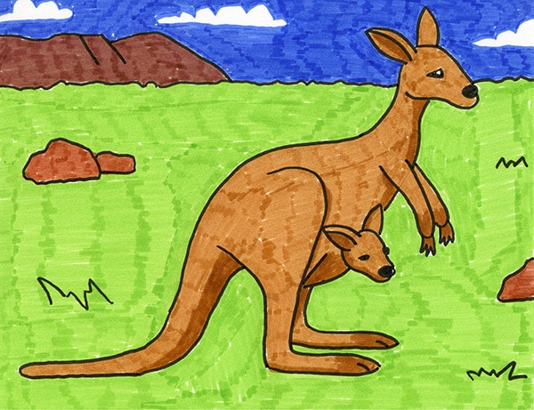 Easy How To Draw A Kangaroo Tutorial And Kangaroo Coloring Page