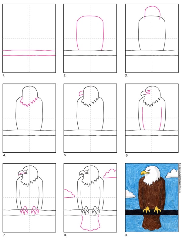 Easy How to Draw a Bald Eagle Tutorial and Bald Eagle Coloring Page