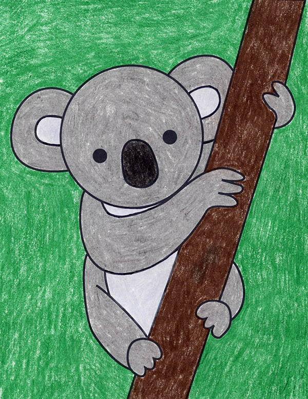 Easy How to Draw a Koala Tutorial and Koala Coloring Page