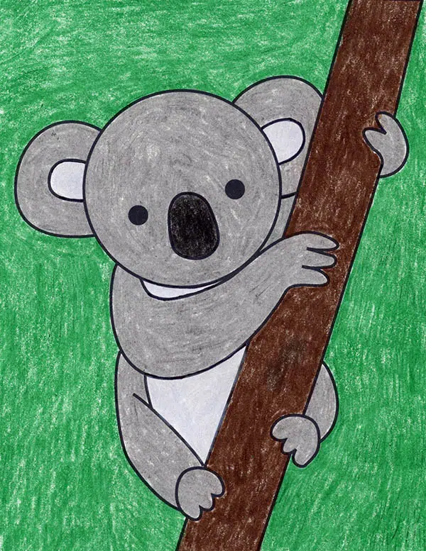 Easy How to Draw a Koala Tutorial Video and Koala Coloring Page