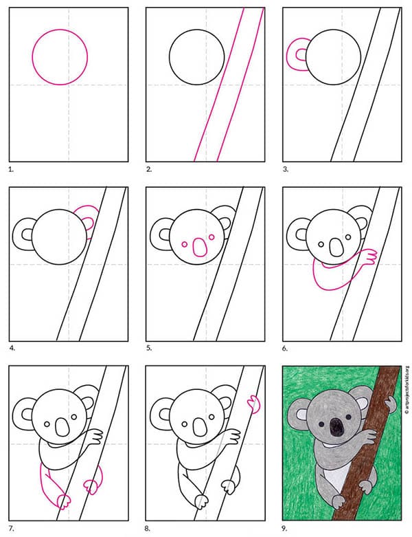 Easy How to Draw a Koala Tutorial and Koala Coloring Page