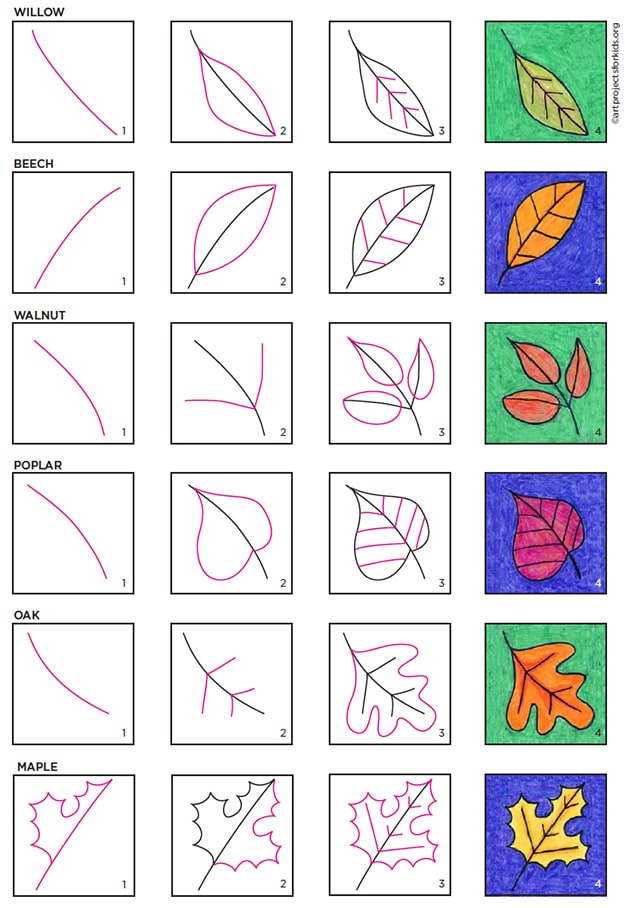 A step by step tutorial for how to draw an easy leaf, also available as a free download.