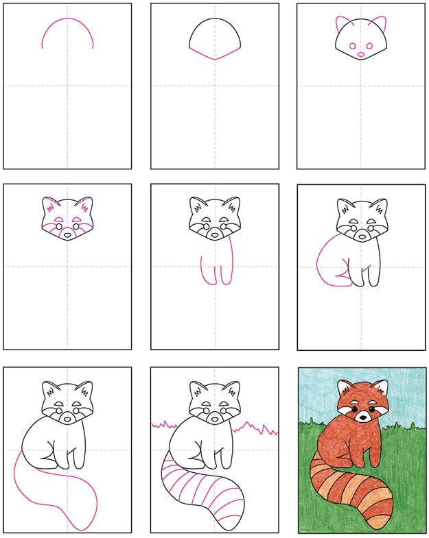 Easy How to Draw a Red Panda Tutorial and Coloring Page