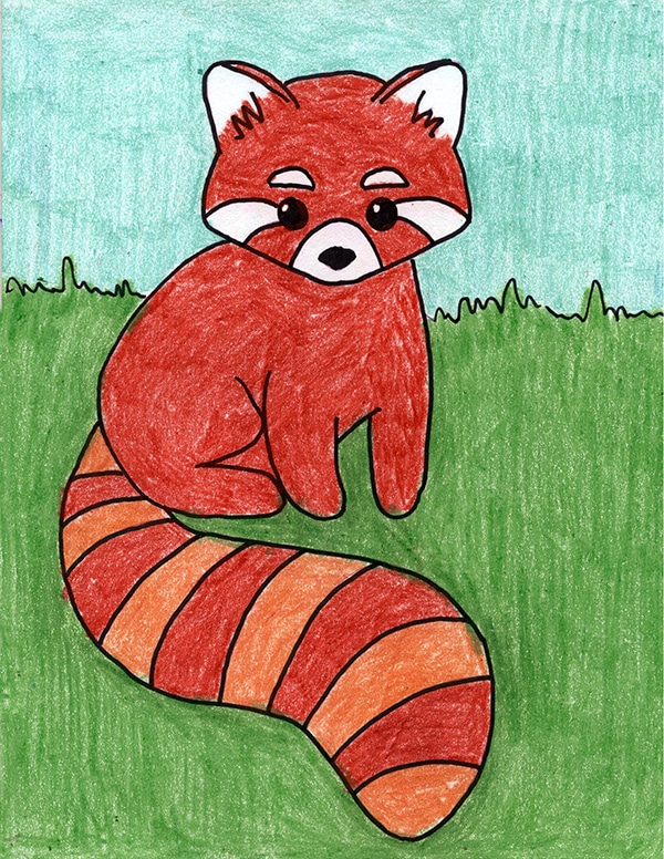 Easy How To Draw A Red Panda Tutorial And Red Panda Coloring Page Art Projects For Kids