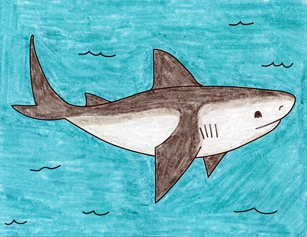 A drawing of a Shark, made with the help of an easy step by step tutorial.