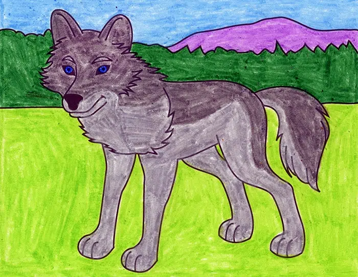A drawing of wolf, made with the help of an easy step by step tutorial. 
