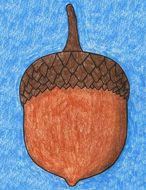 A drawing of an acorn, made with the help of an easy step by step tutorial.