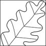 How to Make a Leaf Pattern Drawing Tutorial Video and Coloring Page