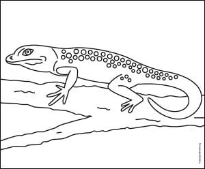 Easy How to Draw a Lizard Tutorial and Lizard Coloring Page