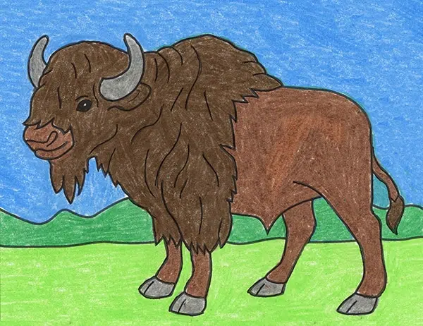 Easy How to Draw a Bison Tutorial and Bison Coloring Page