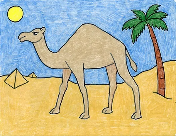 How To Draw A Cartoon Camel - Art For Kids Hub -
