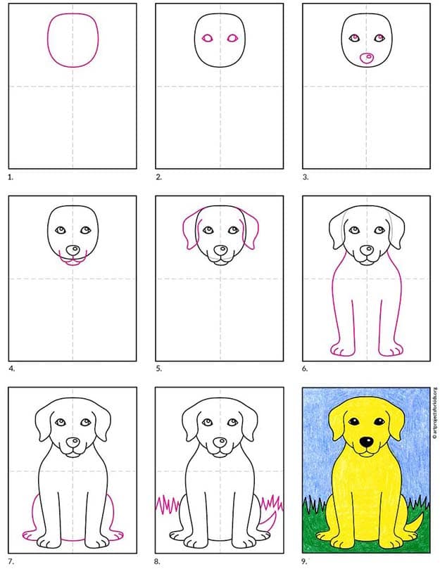 Easy How to Draw a Labrador Tutorial and Labrador Coloring Page