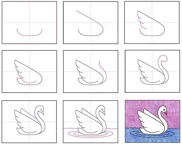 Swan Art Drawing - Drawing Skill