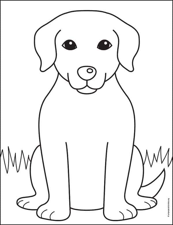 coloring pages of labrador retrievers