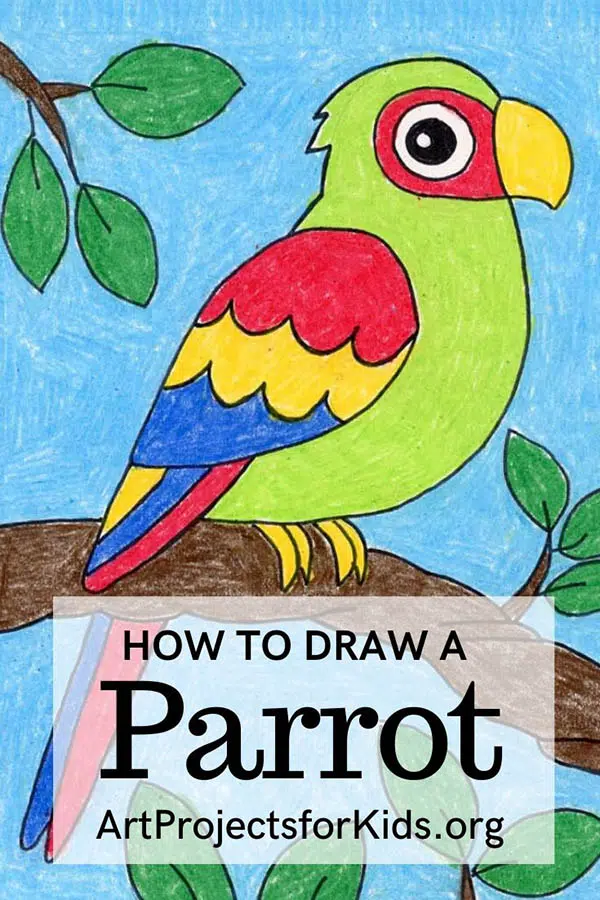 Draw a Parrot Pinterest.jpg – Activity Craft Holidays, Kids, Tips