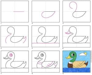Easy How to Draw a Duck Tutorial and Duck Coloring Page