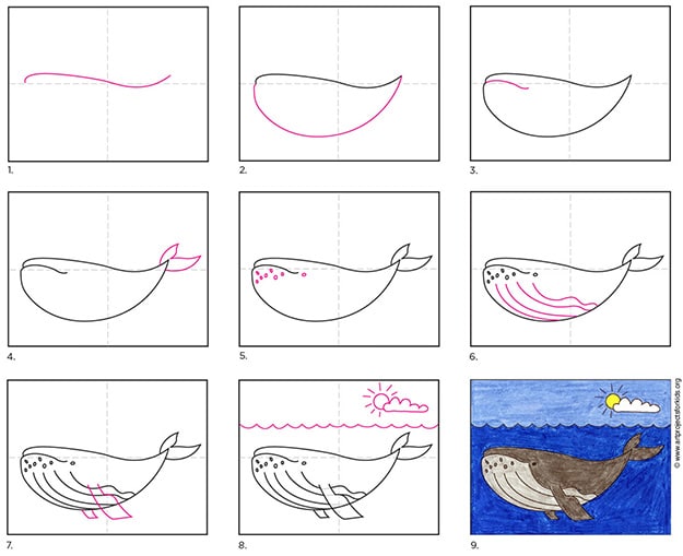 how to draw a sperm whale