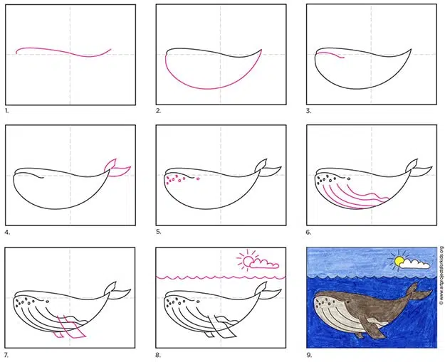 Easy How to Draw a Whale Tutorial and Whale Coloring Page