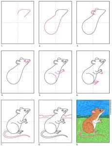 Easy How to Draw a Mouse Tutorial and Mouse Coloring Page