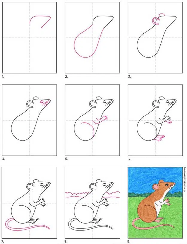 How to Draw a Mouse - Easy Drawing Art
